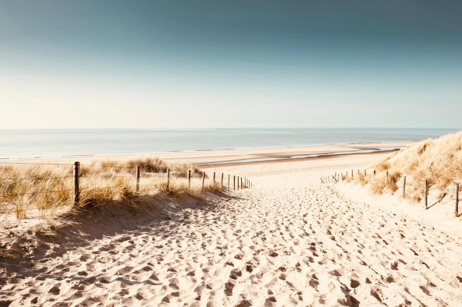 Noordster Beachhouse Noordwijk Exteriör bild